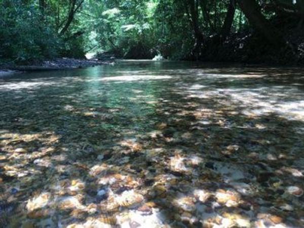 . Givens Mullins Road, Monticello, MS 39654