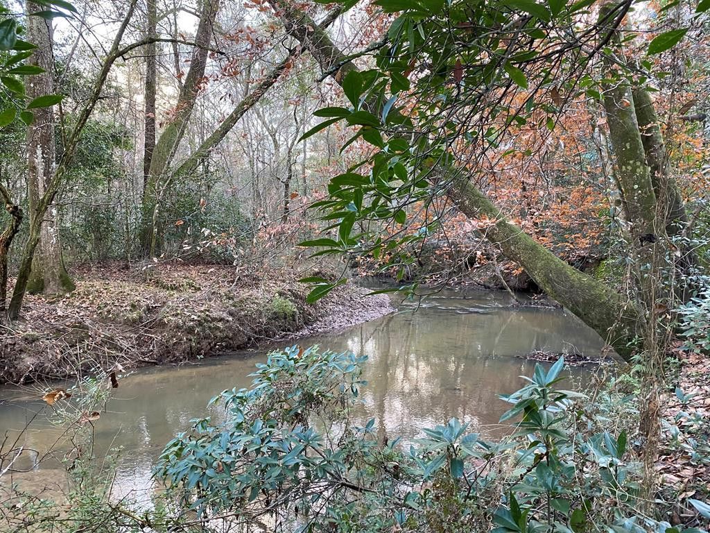 Tbd Ms-568, Osyka, MS 39657 Main Photo