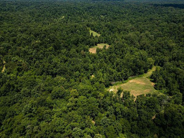 3169 Karnac Ferry Road, Port Gibson, MS 39150