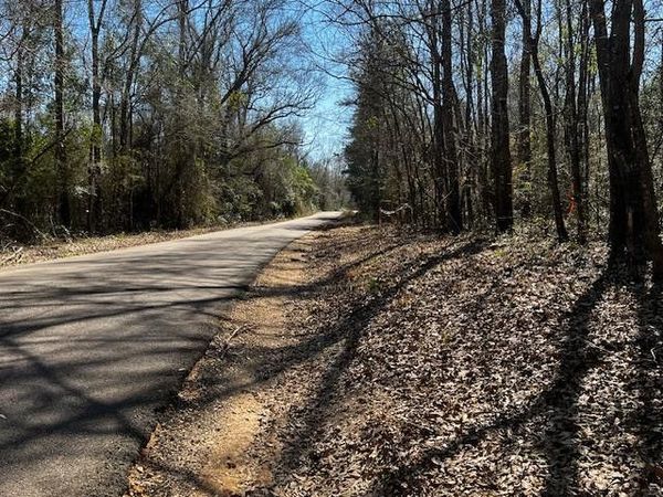 Lot #3 Jessie Stogner Road, Sandy Hook, MS 39667