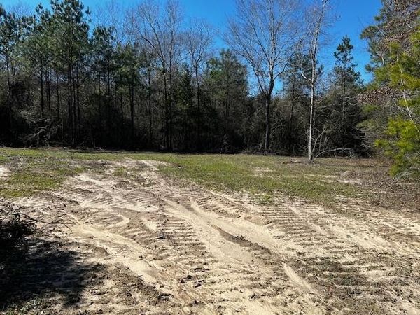 Lot #4 Jessie Stogner Road, Sandy Hook, MS 39667