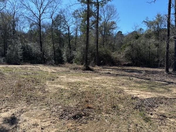 Lot #6 Jessie Stogner Road, Sandy Hook, MS 39667