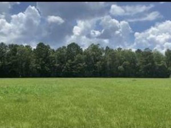 2697 River Road, Silver Creek, MS 39663