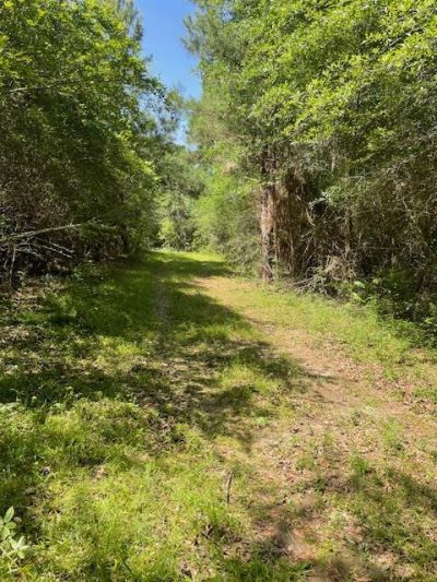 Tom Warner Road, Tylertown, MS 39667 Main Photo