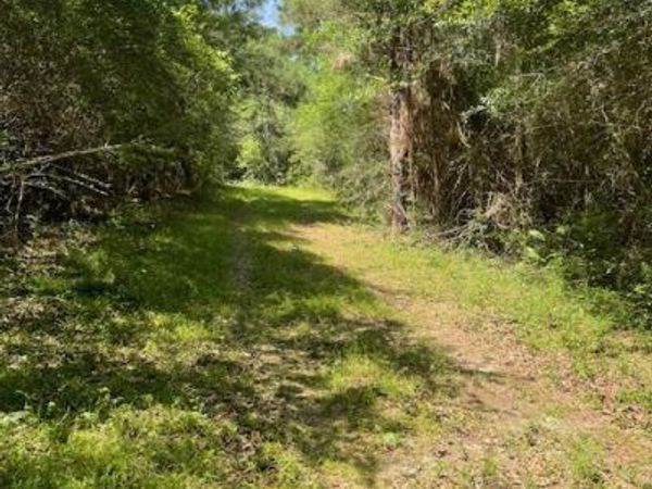 Tom Warner Road, Tylertown, MS 39667