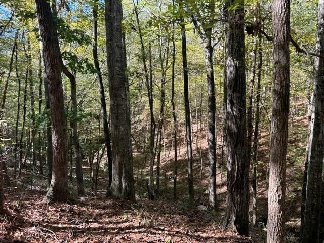 Tbd Highway 550, Union Church, MS 39668 Main Photo