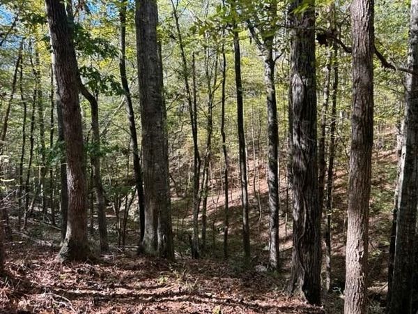 TBD Highway 550, Union Church, MS 39668