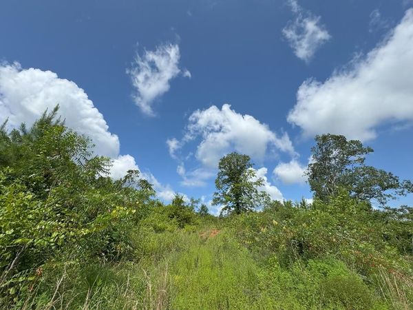 0 Off Hutson Morris Road, Columbia, MS 39429