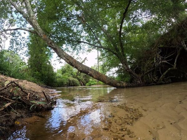 1608 Highway 586, Foxworth, MS 39483