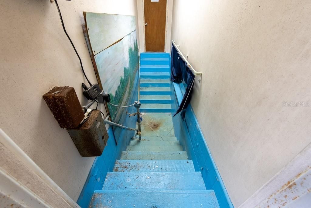 4608 N Nebraska Avenue, Tampa, FL 33603 Photo