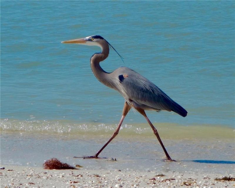 5220 Bonita Beach Rd Sw, Unit 302, Bonita Springs, FL 34134 Photo