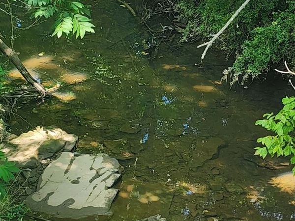 0 3rd Street, Tracy City, TN 37387