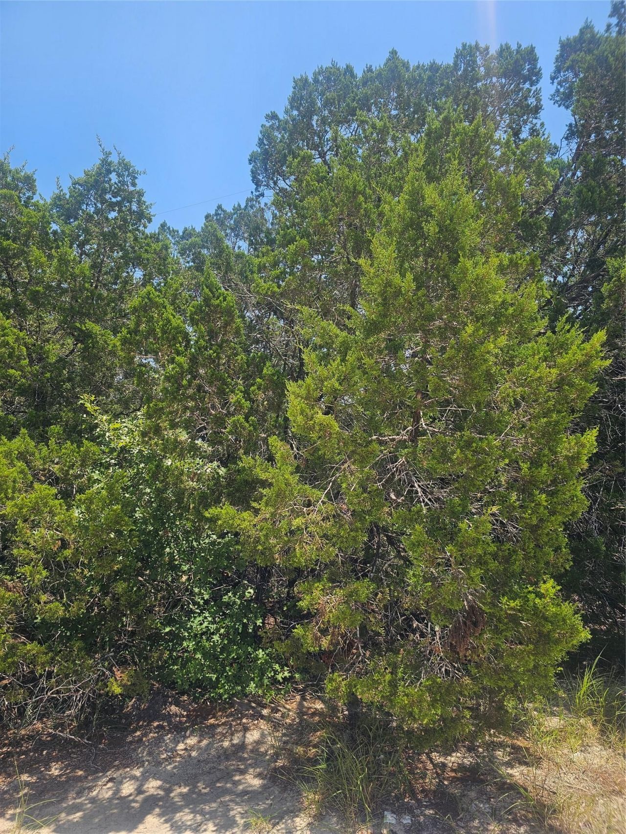 20400 Archer Cv, Lago Vista, TX 78645 Main Photo