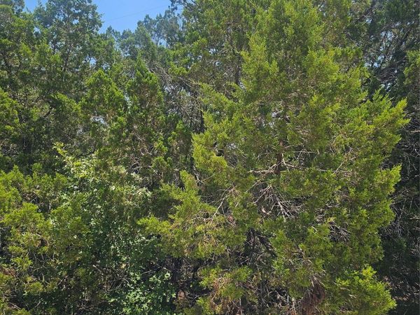 20400 Archer CV, Lago Vista, TX 78645