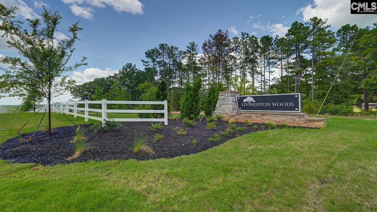 198 Livingston Woods Drive Photo 45