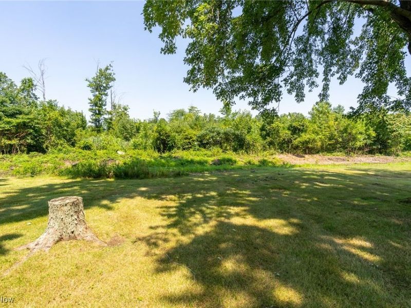 43304 Dellefield Road, Elyria, OH 44035 Photo 44