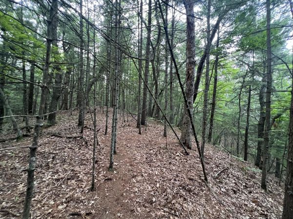 V/L A Lenox Avenue, Pentwater, MI 49449