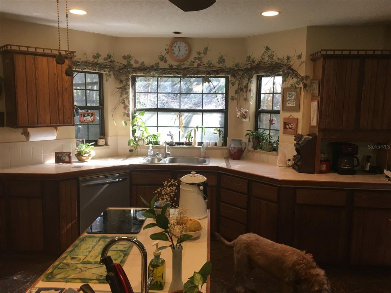 2436 Cr 416n, Lake Panasoffkee, FL 33538 Photo