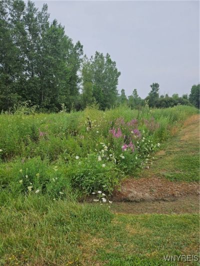 9317 Tonawanda Creek Road S, Clarence, NY 14031 Main Photo