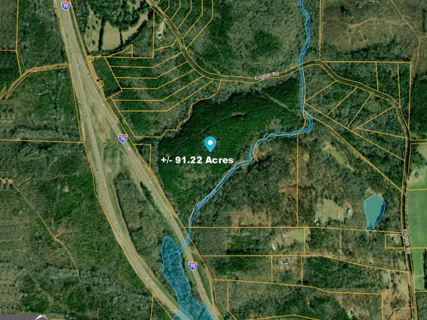 90 +/- ACRES English Road, Forsyth, GA 31029