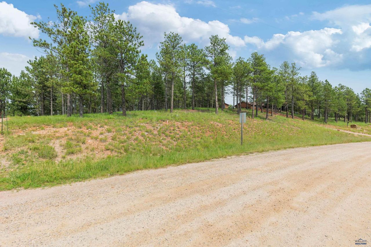 Tbd Borglum Rd, Keystone, SD 57751 Main Photo