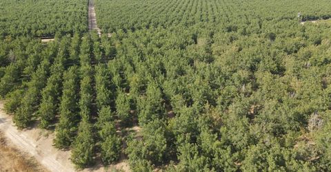 2507 S Escalon Bellota Rd, Farmington, CA 95230 Photo