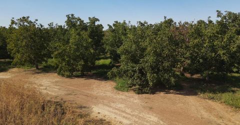 2507 S Escalon Bellota Rd, Farmington, CA 95230 Photo