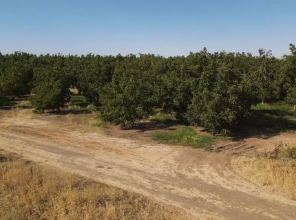 2507 S Escalon Bellota Rd, Farmington, CA 95230 Photo