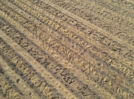 2507 S Escalon Bellota Rd, Farmington, CA 95230 Photo