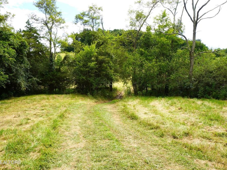 Property Image 59