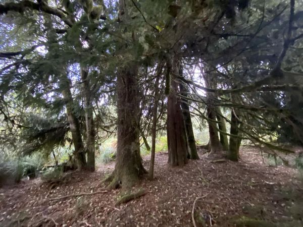 000 Dellmoor Loop, Warrenton, OR 97146