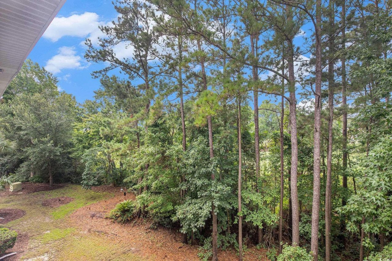 6015 Catalina Dr. Photo 27