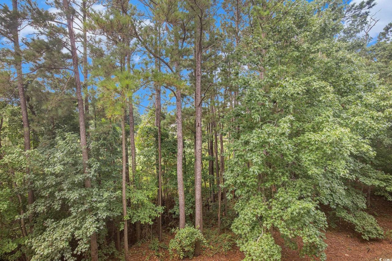 6015 Catalina Dr. Photo 28