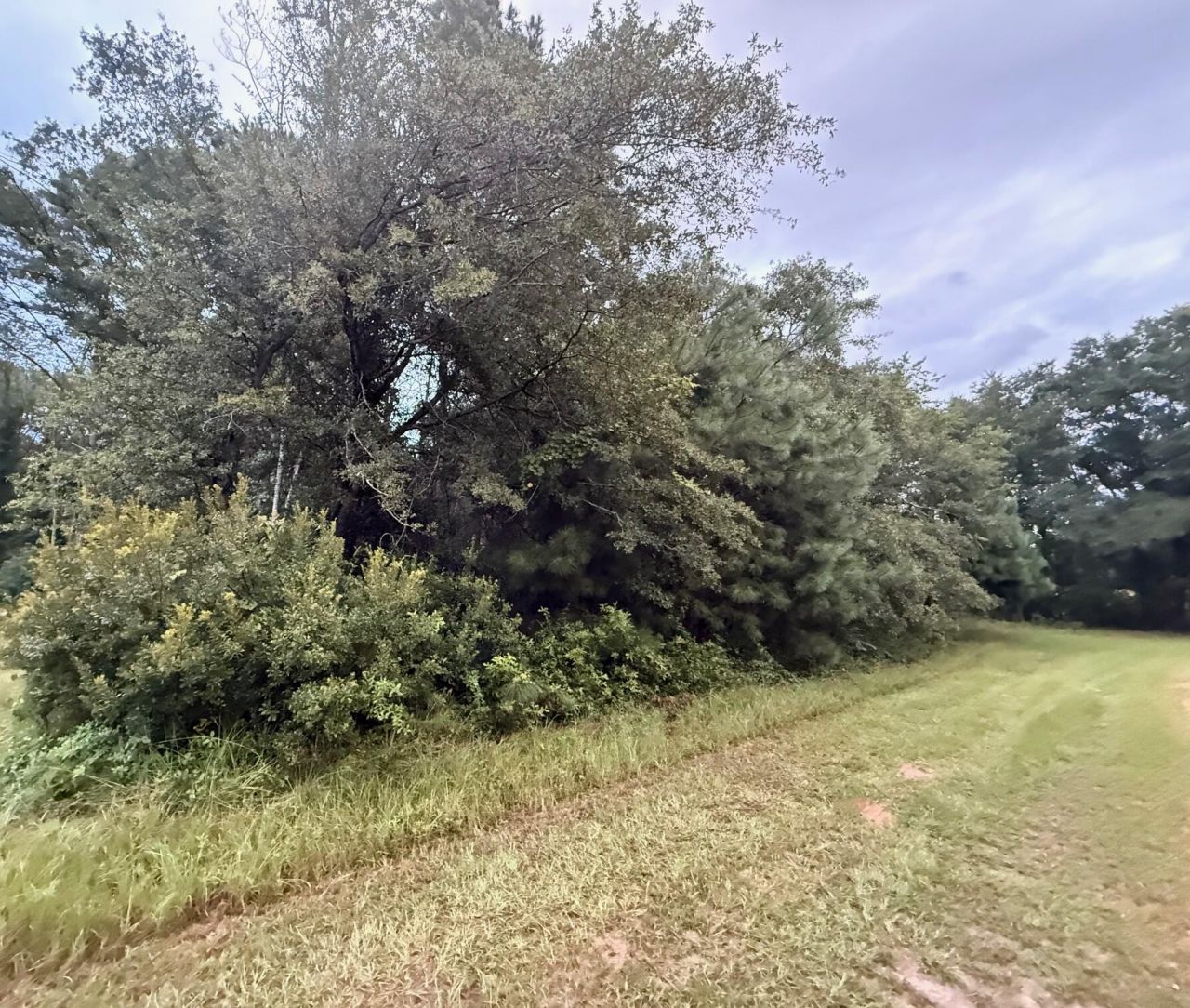 0 Staley Field Lane Photo 2