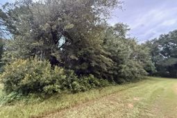 0 Staley Field Lane photo 4