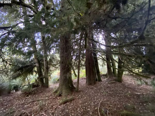 Dellmoor LOOP, Warrenton, OR 97146