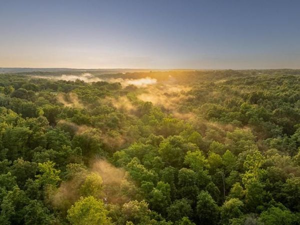 166 State Road P, Long Lane, MO 65590