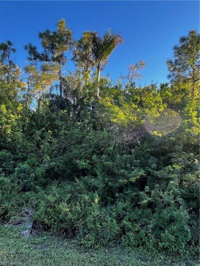 24033 Roger Dodger, Bonita Springs, FL 34135 Photo