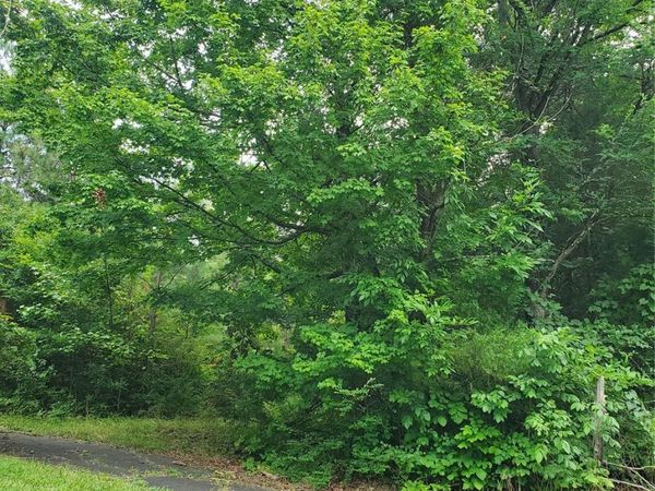 601,610,611 Basinger Lane, Kannapolis, NC 28083