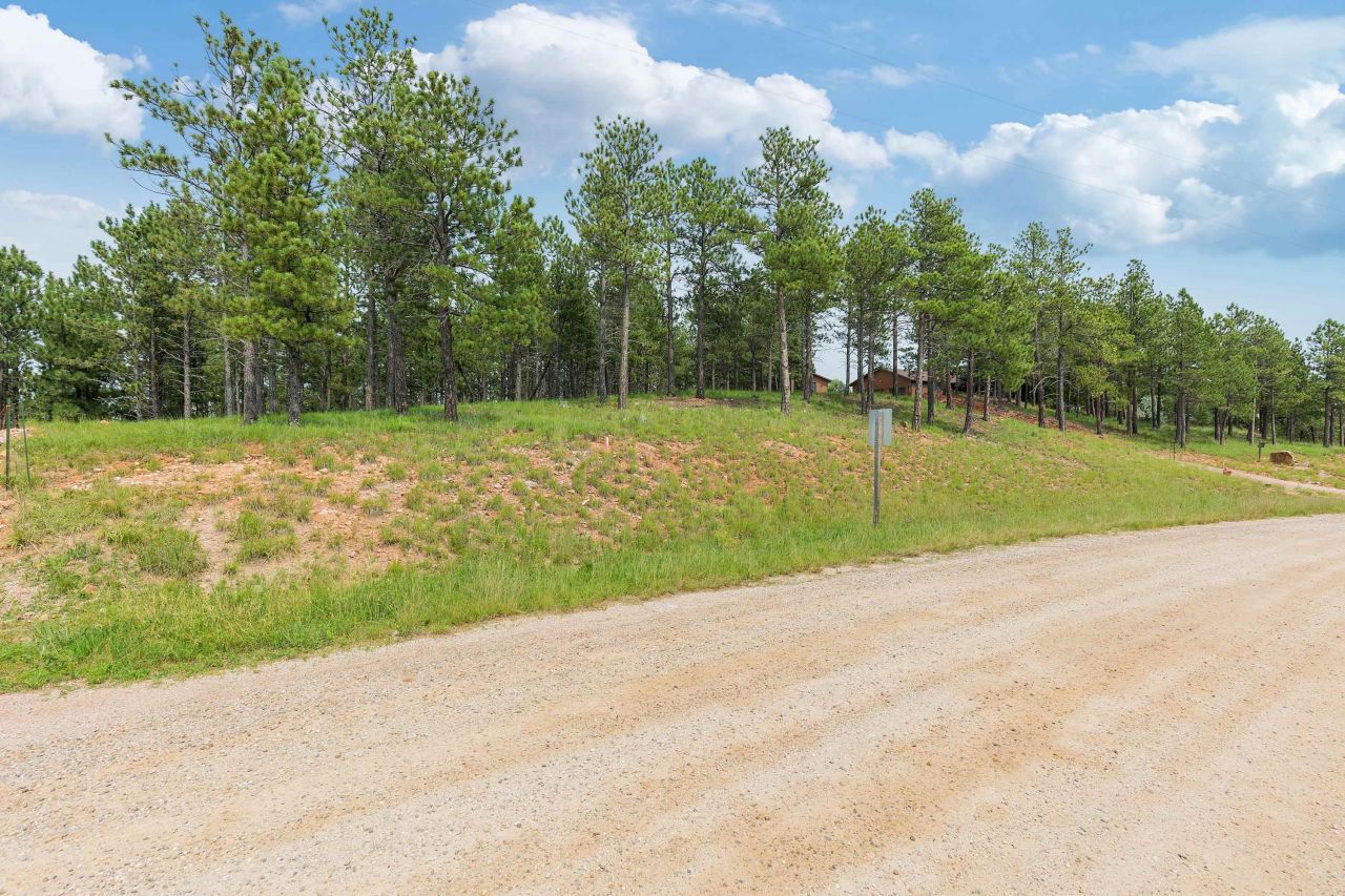 Tbd Borglum Road, Keystone, SD 57751 Main Photo