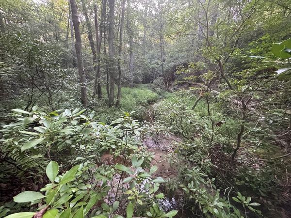 Lot 184 Wild Horse Trl, LANCASTER, VA 22503