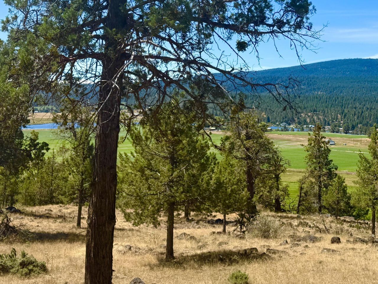 Keno Terrace Drive, Lot #20, Klamath Falls, OR 97601 Main Photo