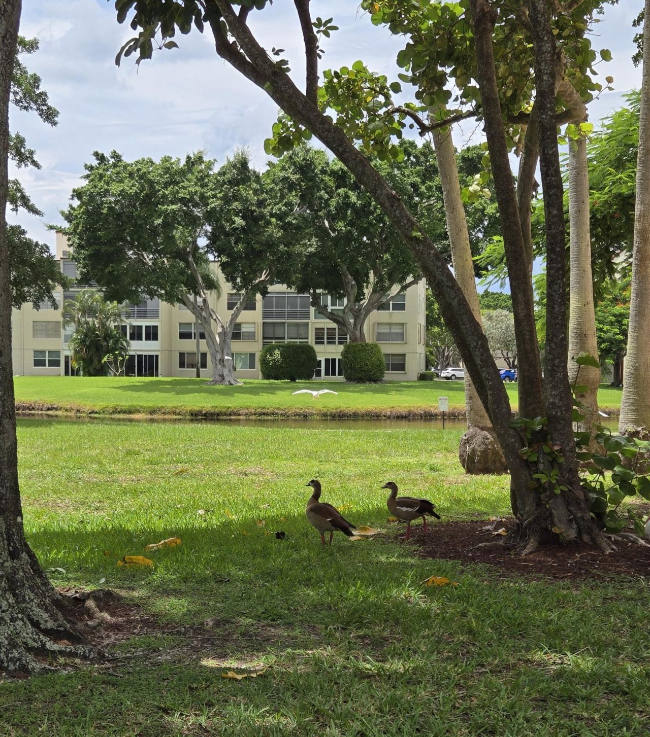14623 Bonaire Boulevard, Unit 604, Delray Beach, FL 33446 Photo