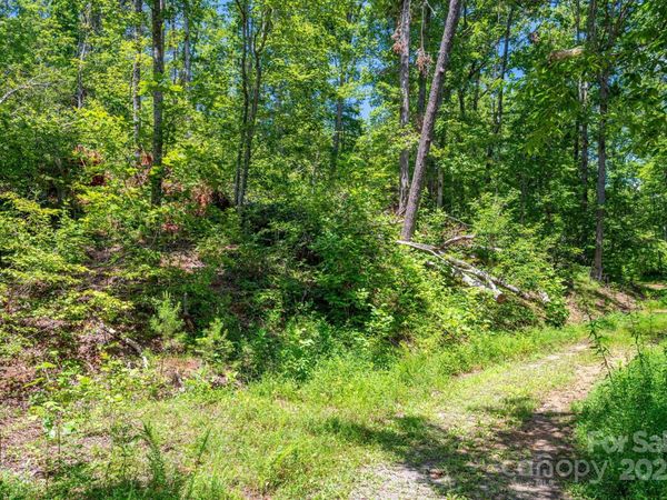Lot 221 Plantation Drive, Rutherfordton, NC 28139