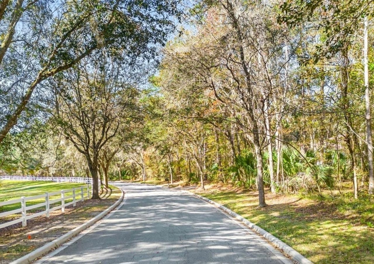 Tbd SW 37th Place Road, Ocala, FL 34471 Photo