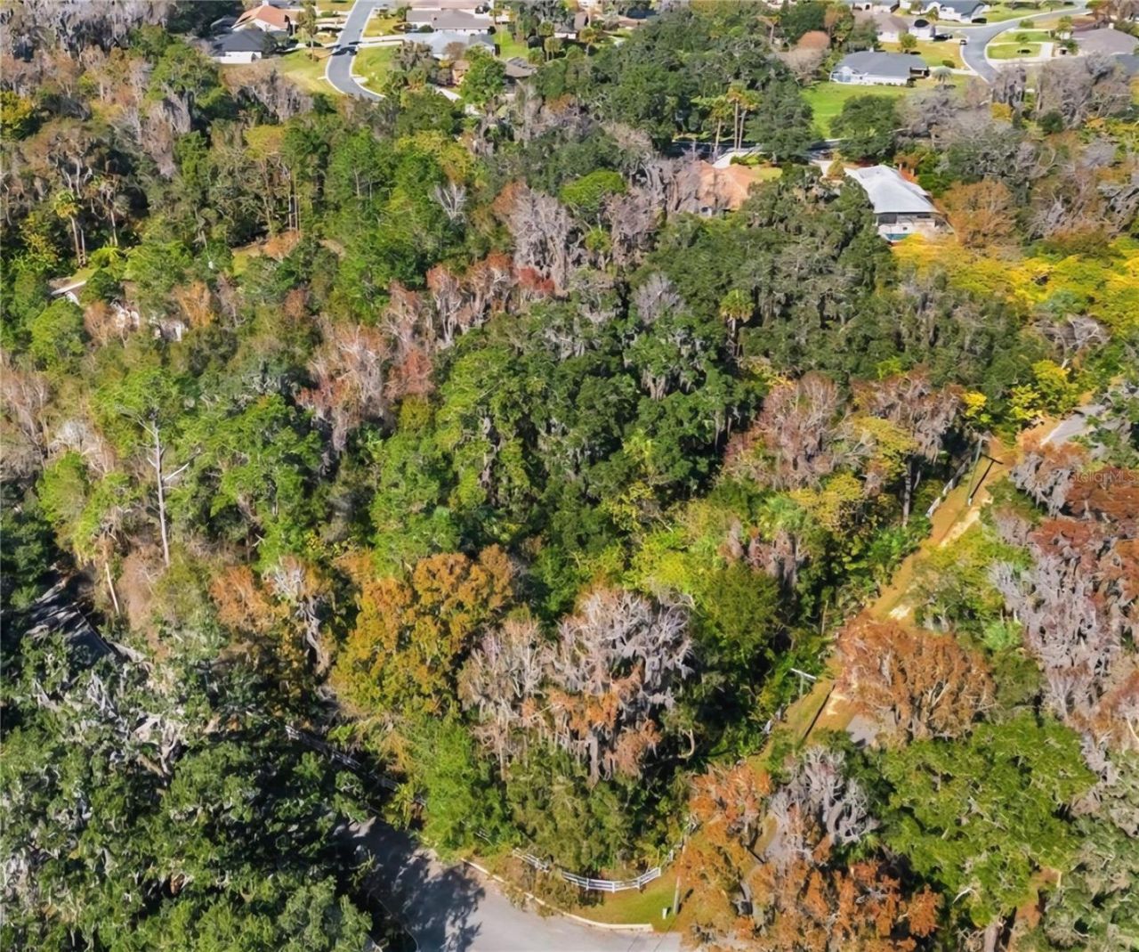 Tbd SW 37th Place Road, Ocala, FL 34471 Photo