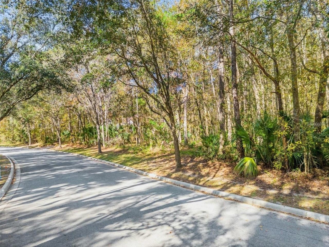 Tbd SW 37th Place Road, Ocala, FL 34471 Photo
