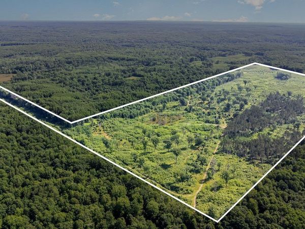 Meredith Grade, Harrison, MI 48625