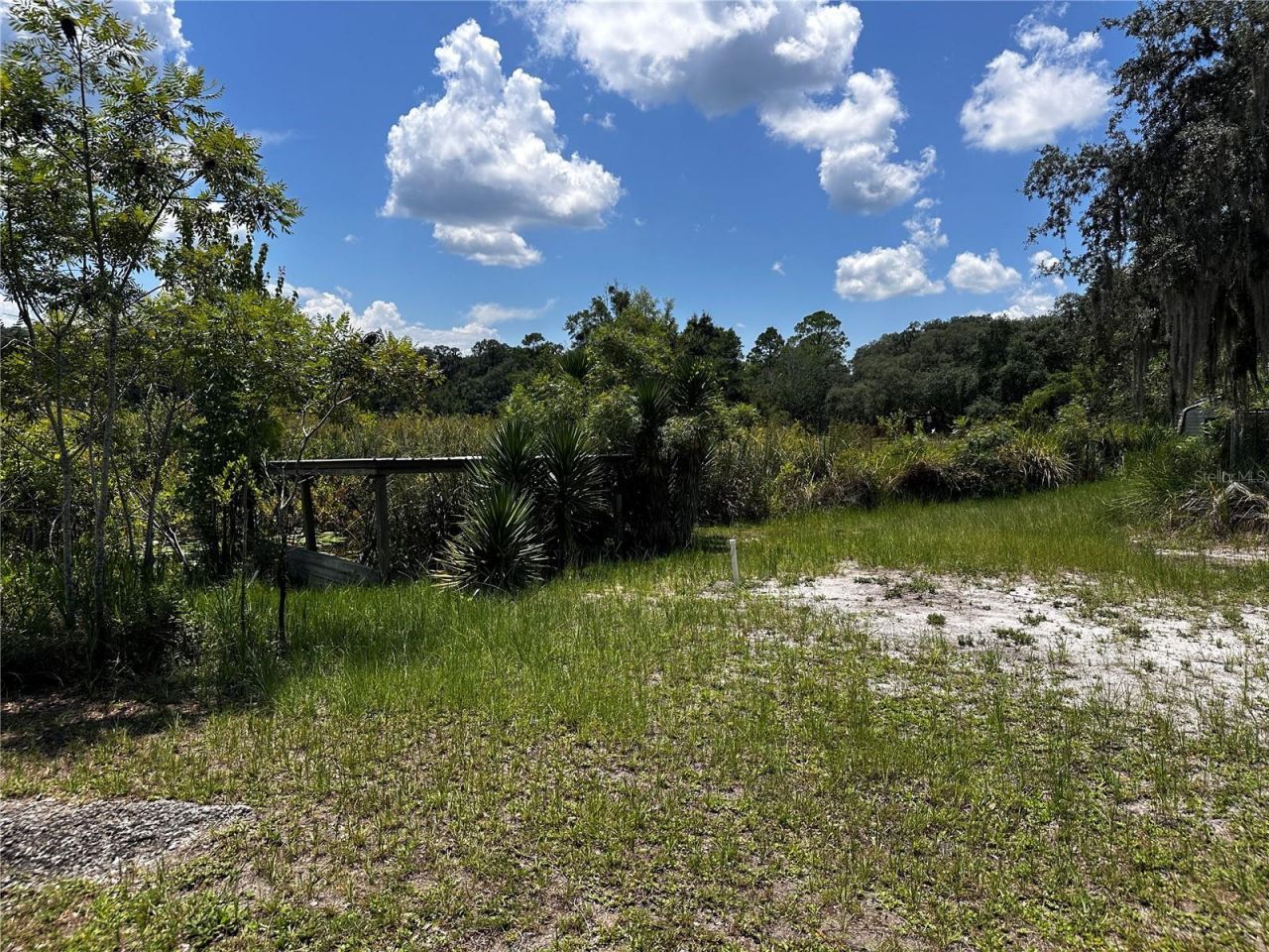 15225 NE 246th Avenue, Salt Springs, FL 32134 Photo