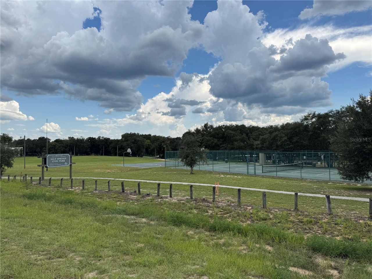 15225 NE 246th Avenue, Salt Springs, FL 32134 Photo